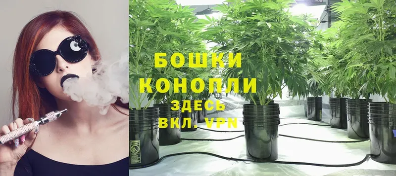 как найти закладки  Куйбышев  mega как зайти  Конопля OG Kush 